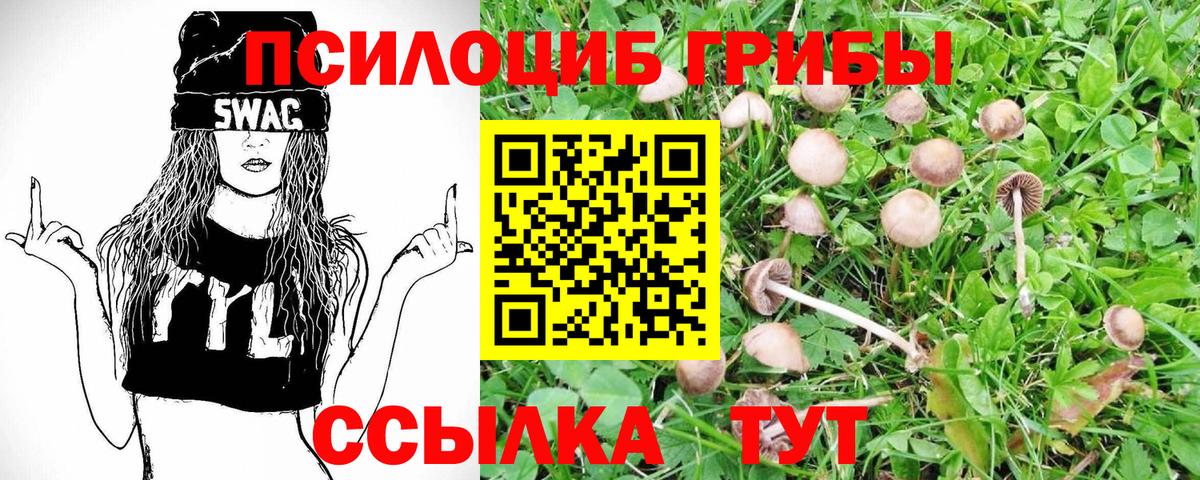 Псилоцибиновые грибы Psilocybe  Псилоцибиновые грибы GOLDEN TEACHER  Елец  Вход с VPN 