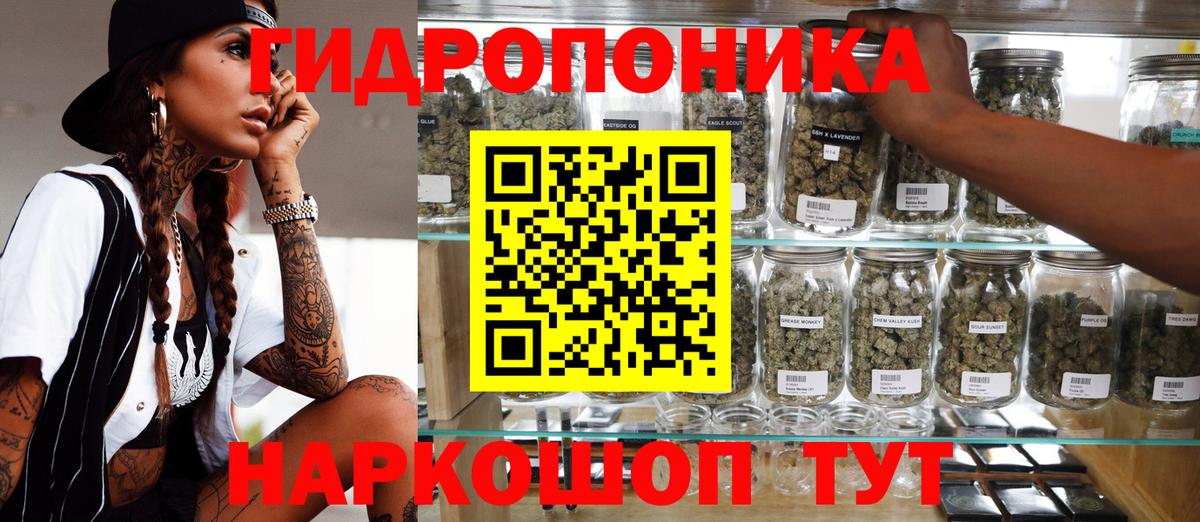 Конопля семена  Шишки марихуана SATIVA & INDICA  Елец  Вход с VPN 